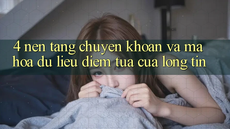 4. Nền tảng Chuyển khoản Và Mã hóa dữ liệu: Điểm Tựa Của Lòng Tin