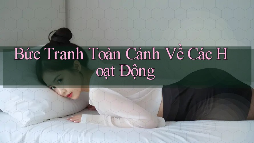 Bức Tranh Toàn Cảnh Về Các Hoạt Động