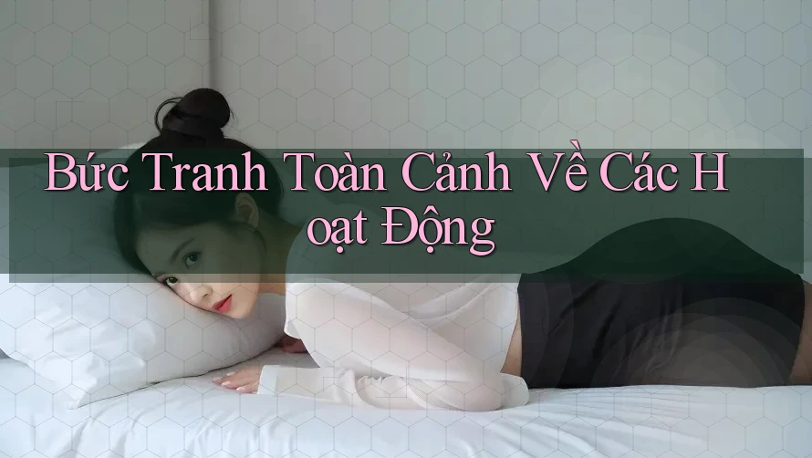 Bức Tranh Toàn Cảnh Về Các Hoạt Động Bức Tranh Toàn Cảnh Về Các Hoạt Động