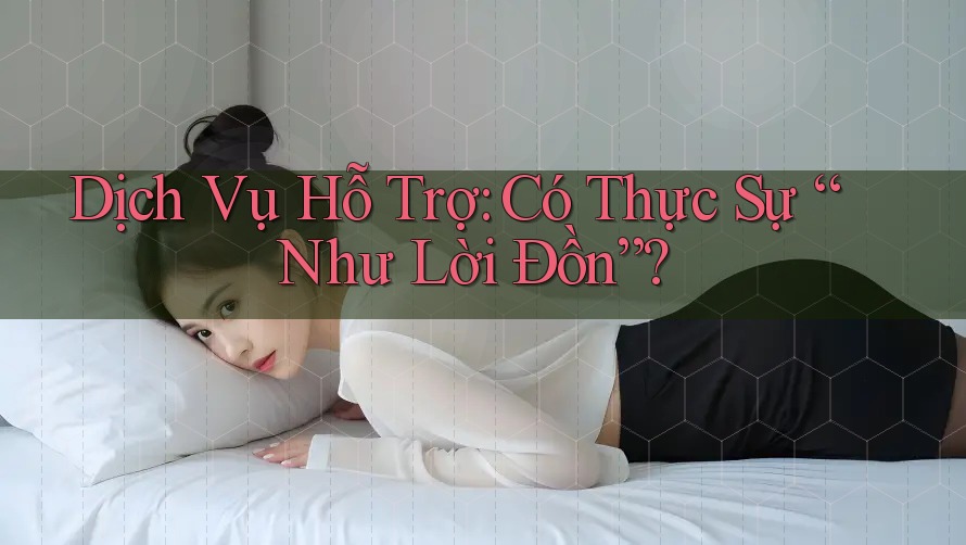 Dịch Vụ Hỗ Trợ: Có Thực Sự “Như Lời Đồn”?
